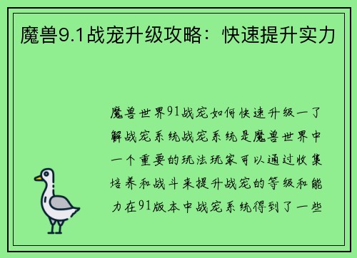 魔兽9.1战宠升级攻略：快速提升实力